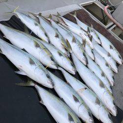 寿裕 （YOSHIHIRO） 釣果