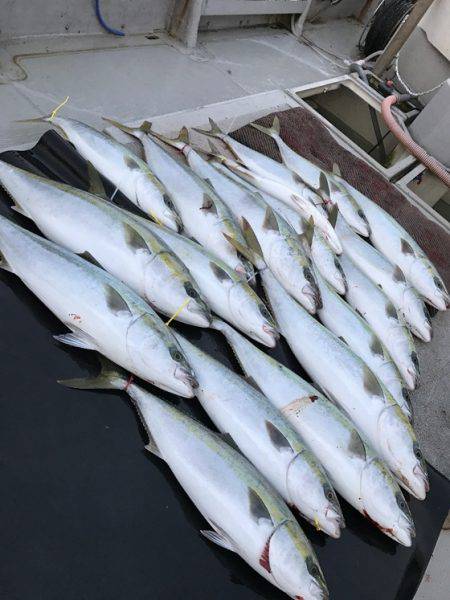 寿裕 （YOSHIHIRO） 釣果