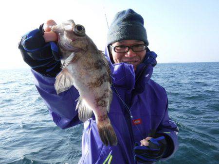 遊漁船 幸友丸 釣果