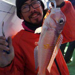 遊漁船 新鋭丸 釣果