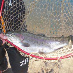 高萩ふれあいの里フィッシングエリア 釣果