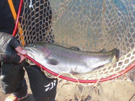 高萩ふれあいの里フィッシングエリア 釣果