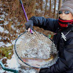 小菅トラウトガーデン 釣果