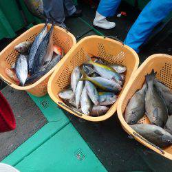 フィッシングハウス伊藤 釣果