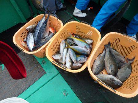 フィッシングハウス伊藤 釣果