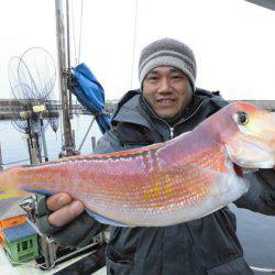 大進丸(新潟) 釣果