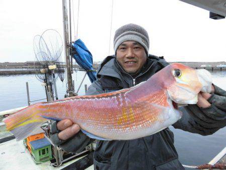 大進丸(新潟) 釣果