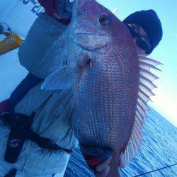 遊漁船 新鋭丸 釣果