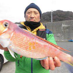 大進丸(新潟) 釣果