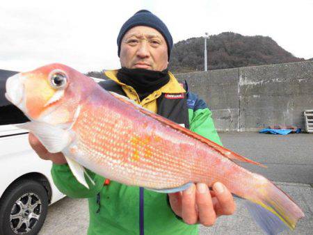 大進丸(新潟) 釣果