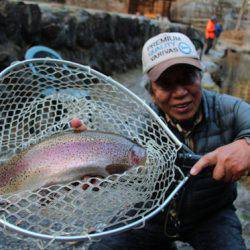 小菅トラウトガーデン 釣果