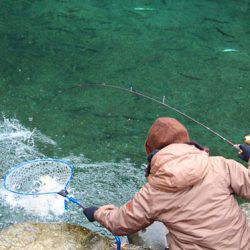 小菅トラウトガーデン 釣果