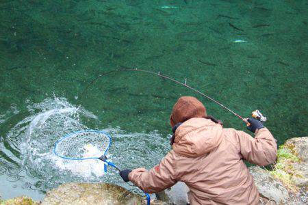 小菅トラウトガーデン 釣果