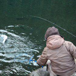 小菅トラウトガーデン 釣果