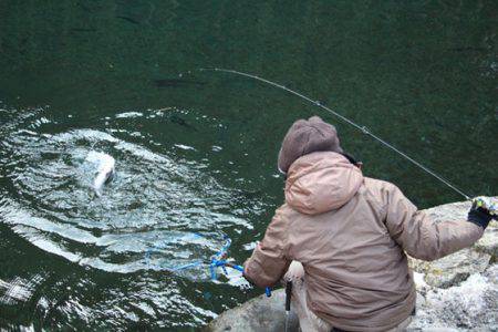 小菅トラウトガーデン 釣果