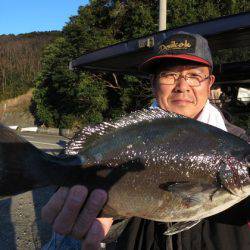 千津丸 釣果