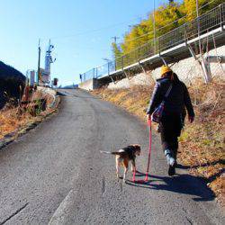 小菅トラウトガーデン 釣果