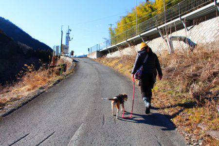 小菅トラウトガーデン 釣果