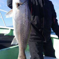 遊漁船 新鋭丸 釣果