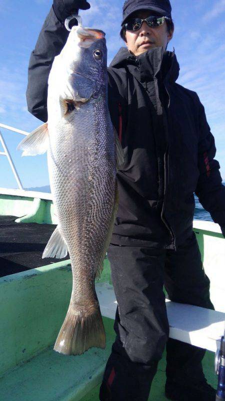 遊漁船 新鋭丸 釣果