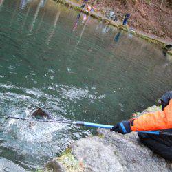 小菅トラウトガーデン 釣果