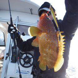 BlueNote Fishing Taxi 釣果