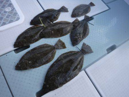 遊漁船 幸友丸 釣果