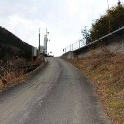 小菅トラウトガーデン 釣果