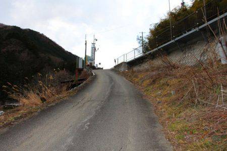 小菅トラウトガーデン 釣果