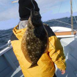 遊漁船 幸友丸 釣果