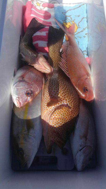 遊漁船 新鋭丸 釣果