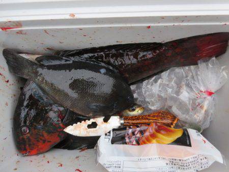 千津丸 釣果