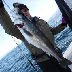 BlueNote Fishing Taxi 釣果