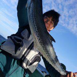 遊漁船 新鋭丸 釣果