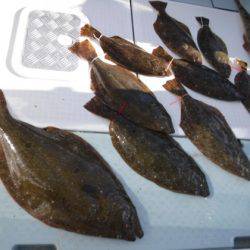 遊漁船 幸友丸 釣果