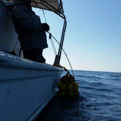 第五慶門丸 釣果