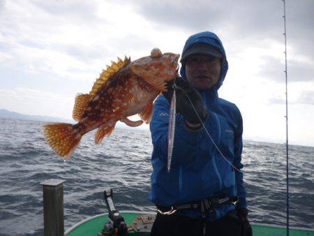 真祐丸 (しんゆうまる) 釣果