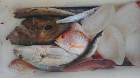 遊漁船 新鋭丸 釣果