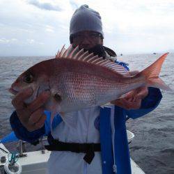 海晴丸 釣果