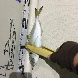 オーシャンズ 釣果