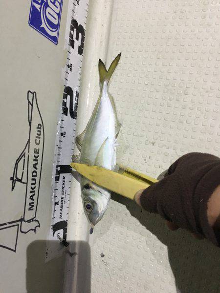 オーシャンズ 釣果