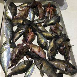 オーシャンズ 釣果