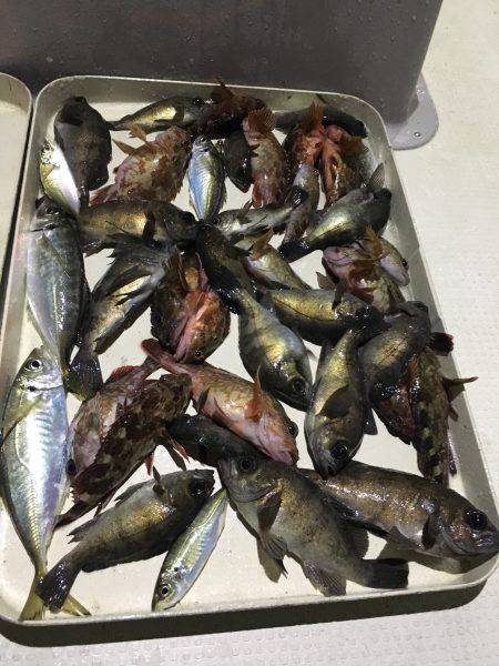 オーシャンズ 釣果