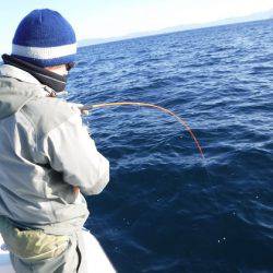 BlueNote Fishing Taxi 釣果