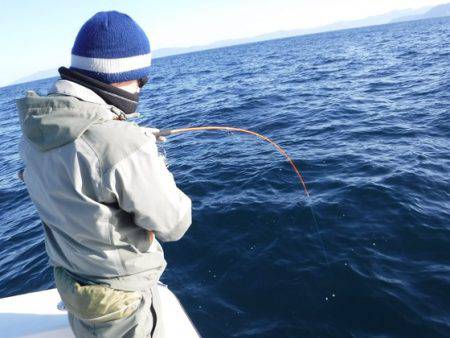 BlueNote Fishing Taxi 釣果