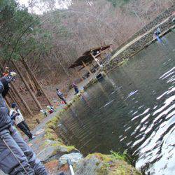 小菅トラウトガーデン 釣果