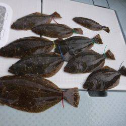 遊漁船 幸友丸 釣果