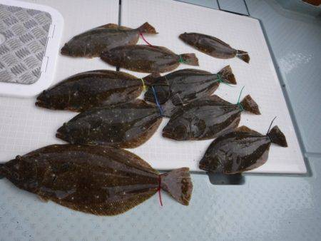 遊漁船 幸友丸 釣果