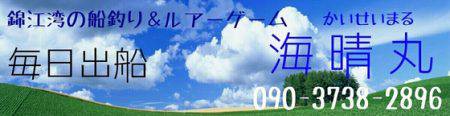 海晴丸 釣果