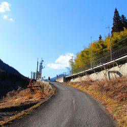 小菅トラウトガーデン 釣果